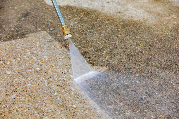 Best Animal Enclosure Cleaning  in Gang Mills, NY